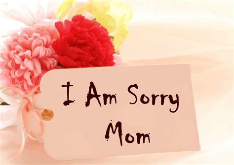 What apology do I need from my mother Id like to hear her say that she was sorry about throwing away the daily diaries Id keep, inscribing each page as faithfully as a monk, from ages 11-15. . Forum sorry mother